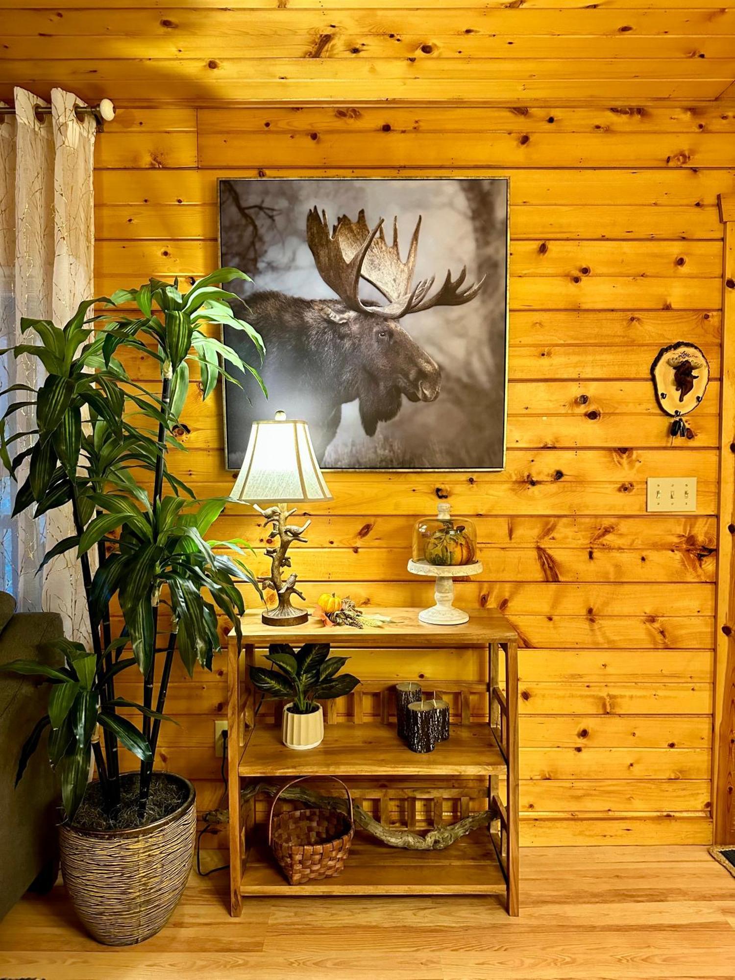 Cozy Cabin In Red River Gorge Rogers Kültér fotó